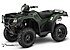 2019 Honda FourTrax Foreman Rubicon for sale 200605849